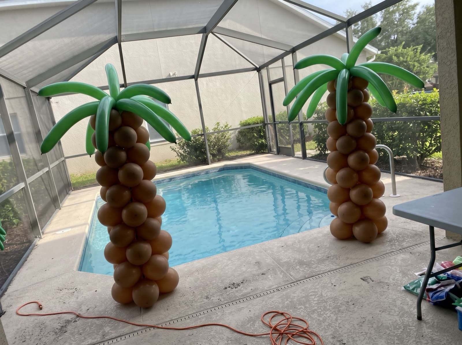Balloon palm trees beside a pool deck